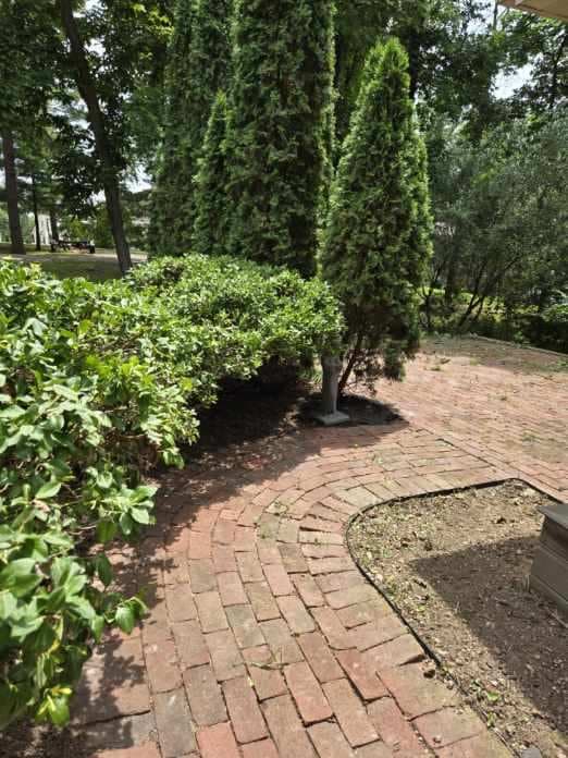 Garden area with brick paver path, trimmed shrubs, and tall evergreen trees — Jarjus Lawn Care landscaping