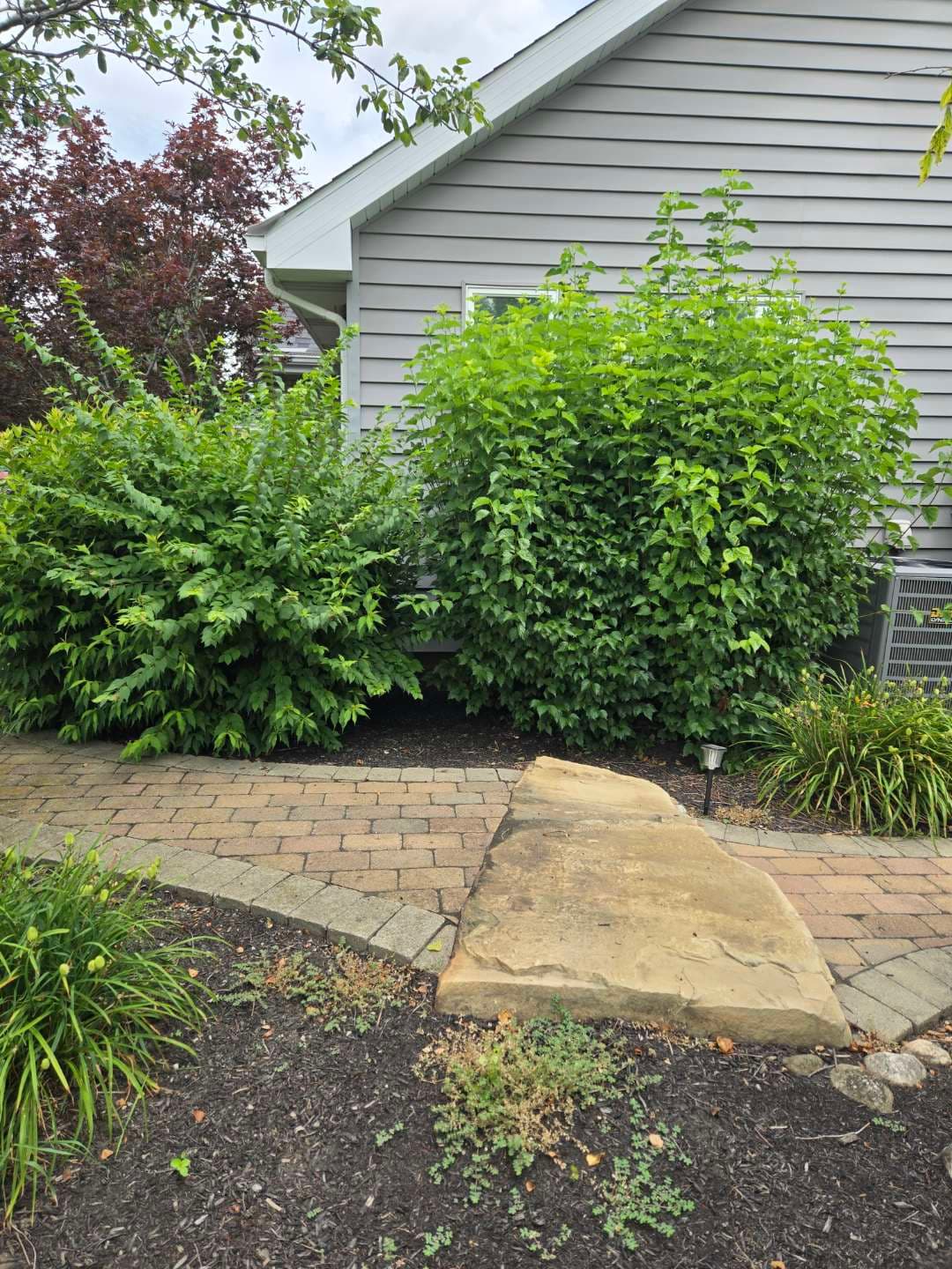 Foundation shrubs shaped into clean, even lines along the home — Jarjus Lawn Care