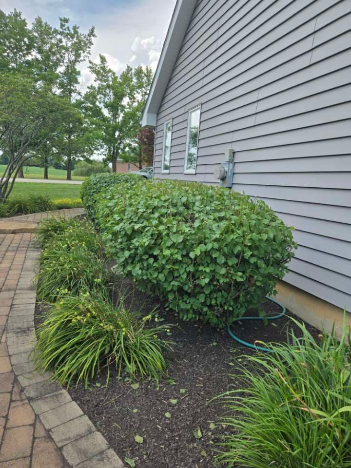 Garden bed featuring ornamental grass — Jarjus Lawn Care planting