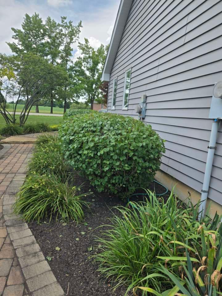 Brick paver walkway landscaping with tidy bed edges — Jarjus Lawn Care
